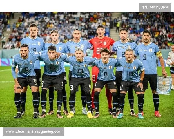 回顾2013年阿根廷队与巴西队美洲杯阵容的对比与变迁