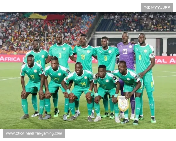 塞内加尔足球队的辉煌历史与未来发展潜力深度解析